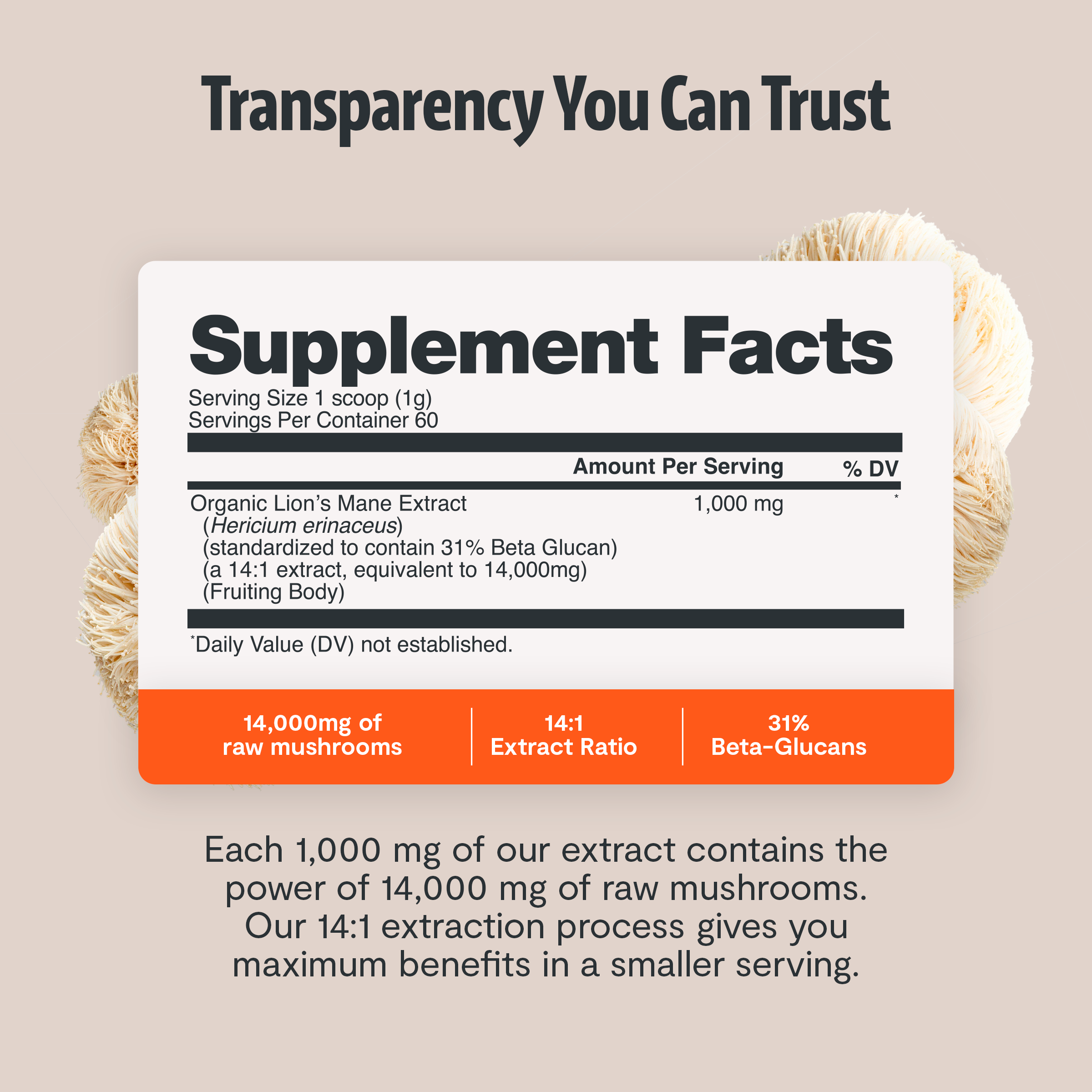 Organic Mushroom Complex Supplement Capsules